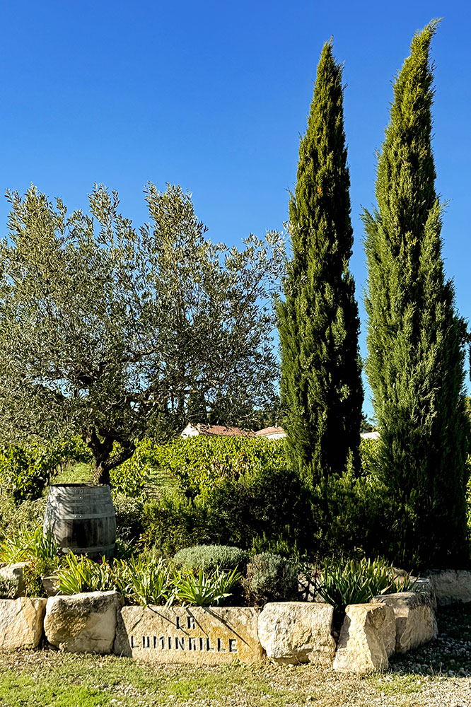 La Luminaille vin doux naturel de Rasteau, vin rouge, Rosé et blanc